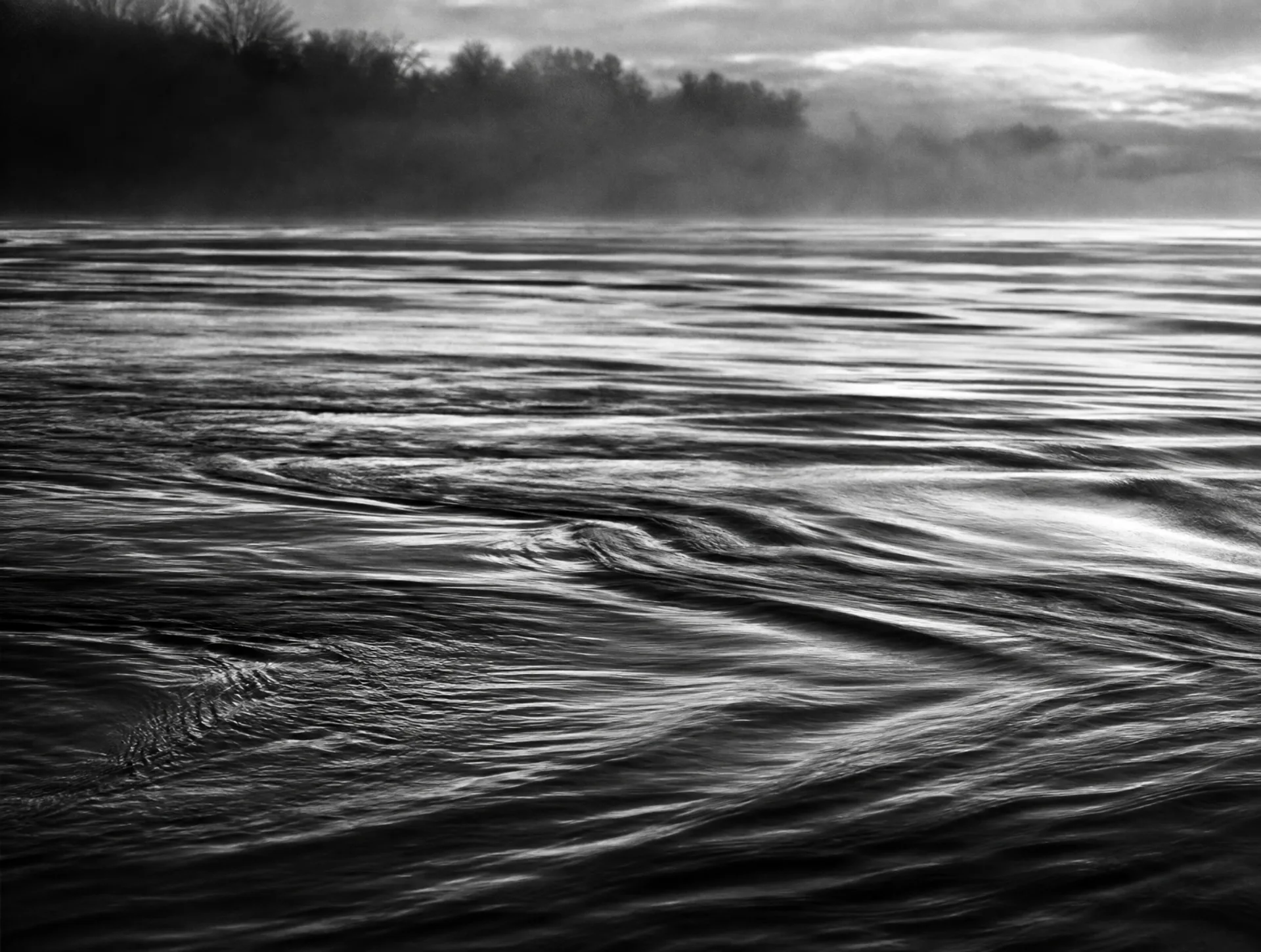 Surface du fleuve en noir et blanc à l'aube : de longues lignes de courant et des remous, la rive boisée dans la brume